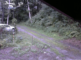 長野県菅平高原 ゆたか山荘 東側(坂下) 2025/08/09 18:30