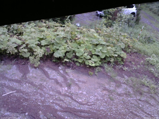 長野県菅平高原 ゆたか山荘 駐車場 2025/08/09 05:00