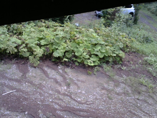 長野県菅平高原 ゆたか山荘 駐車場 2025/08/09 05:15