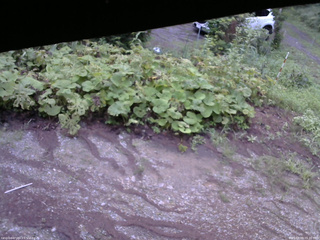 長野県菅平高原 ゆたか山荘 駐車場 2025/08/09 05:30