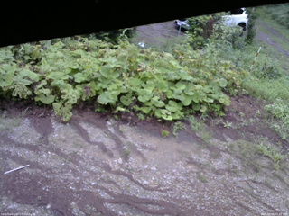 長野県菅平高原 ゆたか山荘 駐車場 2025/08/09 05:45
