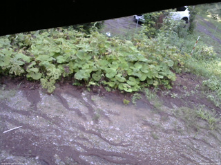 長野県菅平高原 ゆたか山荘 駐車場 2025/08/09 06:15