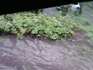 長野県菅平高原 ゆたか山荘 駐車場 2025/08/09 06:30