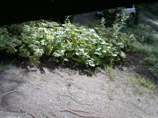長野県菅平高原 ゆたか山荘 駐車場 2025/08/09 08:15