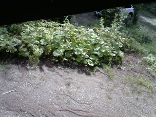 長野県菅平高原 ゆたか山荘 駐車場 2025/08/09 08:30