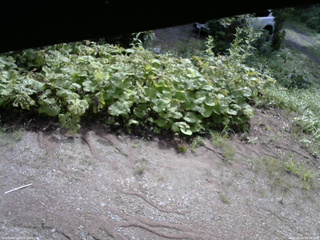 長野県菅平高原 ゆたか山荘 駐車場 2025/08/09 08:45