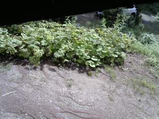 長野県菅平高原 ゆたか山荘 駐車場 2025/08/09 09:00