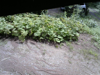 長野県菅平高原 ゆたか山荘 駐車場 2025/08/09 09:15