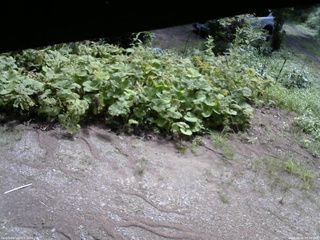 長野県菅平高原 ゆたか山荘 駐車場 2025/08/09 09:30