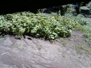 長野県菅平高原 ゆたか山荘 駐車場 2025/08/09 09:45