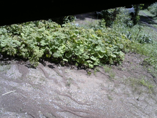 長野県菅平高原 ゆたか山荘 駐車場 2025/08/09 10:00