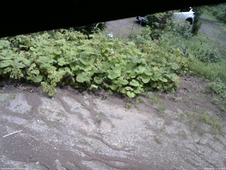長野県菅平高原 ゆたか山荘 駐車場 2025/08/09 11:00