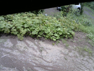 長野県菅平高原 ゆたか山荘 駐車場 2025/08/09 11:15