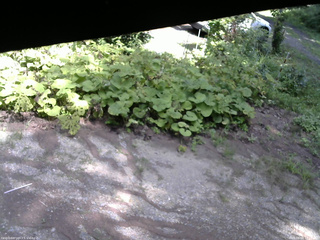長野県菅平高原 ゆたか山荘 駐車場 2025/08/09 13:15