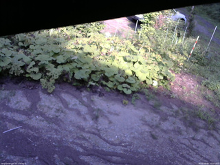 長野県菅平高原 ゆたか山荘 駐車場 2025/08/09 16:00