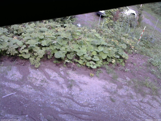 長野県菅平高原 ゆたか山荘 駐車場 2025/08/09 17:00