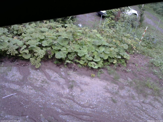長野県菅平高原 ゆたか山荘 駐車場 2025/08/09 18:00