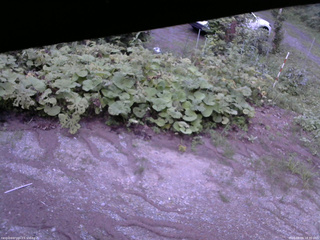 長野県菅平高原 ゆたか山荘 駐車場 2025/08/09 18:30