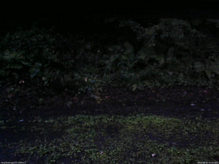 長野県菅平高原 ゆたか山荘 南側 2025/08/10 05:00