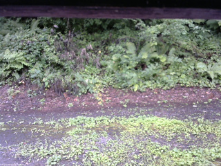 長野県菅平高原 ゆたか山荘 南側 2025/08/10 10:00