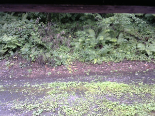 長野県菅平高原 ゆたか山荘 南側 2025/08/10 10:30