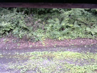 長野県菅平高原 ゆたか山荘 南側 2025/08/10 11:00