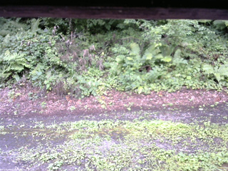 長野県菅平高原 ゆたか山荘 南側 2025/08/10 11:15