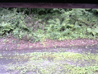 長野県菅平高原 ゆたか山荘 南側 2025/08/10 11:30