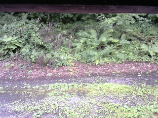 長野県菅平高原 ゆたか山荘 南側 2025/08/10 11:45