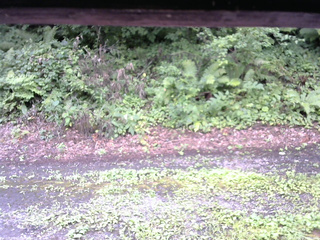 長野県菅平高原 ゆたか山荘 南側 2025/08/10 12:00