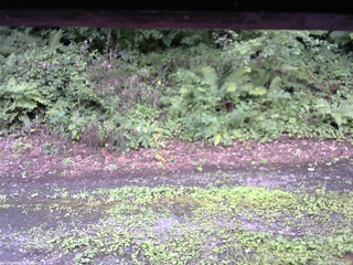 長野県菅平高原 ゆたか山荘 南側 2025/08/10 12:15