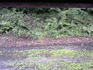 長野県菅平高原 ゆたか山荘 南側 2025/08/10 12:30