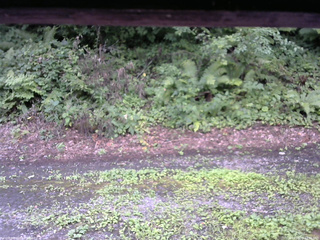 長野県菅平高原 ゆたか山荘 南側 2025/08/10 12:45