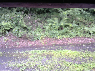 長野県菅平高原 ゆたか山荘 南側 2025/08/10 13:30