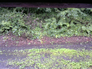 長野県菅平高原 ゆたか山荘 南側 2025/08/10 14:00