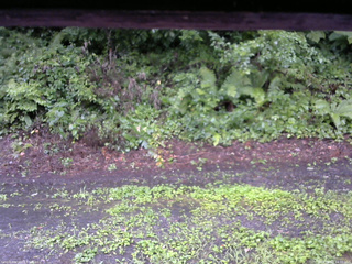 長野県菅平高原 ゆたか山荘 南側 2025/08/10 14:30