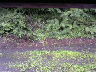 長野県菅平高原 ゆたか山荘 南側 2025/08/10 17:45