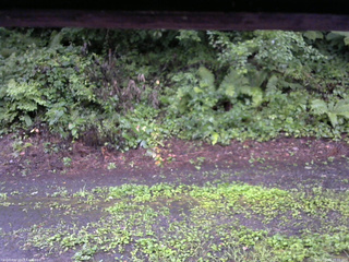 長野県菅平高原 ゆたか山荘 南側 2025/08/10 18:00