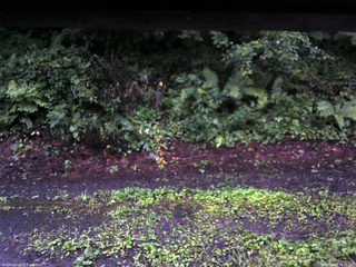 長野県菅平高原 ゆたか山荘 南側 2025/08/10 18:30