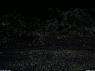 長野県菅平高原 ゆたか山荘 南側 2025/08/10 18:45