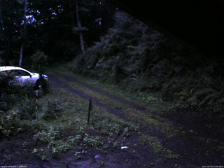 長野県菅平高原 ゆたか山荘 東側(坂下) 2025/08/10 05:00