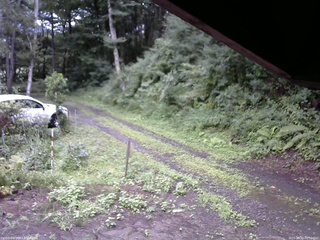 長野県菅平高原 ゆたか山荘 東側(坂下) 2025/08/10 09:30