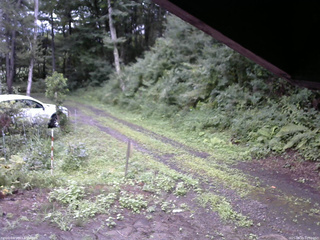長野県菅平高原 ゆたか山荘 東側(坂下) 2025/08/10 10:00