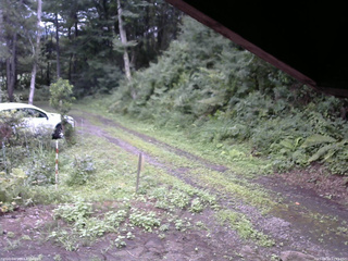 長野県菅平高原 ゆたか山荘 東側(坂下) 2025/08/10 11:45