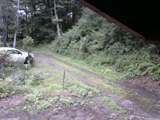 長野県菅平高原 ゆたか山荘 東側(坂下) 2025/08/10 12:45