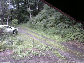 長野県菅平高原 ゆたか山荘 東側(坂下) 2025/08/10 13:00