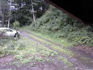 長野県菅平高原 ゆたか山荘 東側(坂下) 2025/08/10 13:15