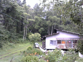 長野県菅平高原 ゆたか山荘 西側(坂上) 2025/08/10 07:45