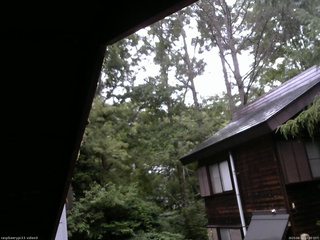 長野県菅平高原 ゆたか山荘 北側 2025/08/11 17:30