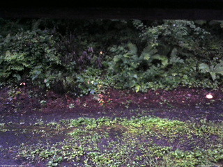 長野県菅平高原 ゆたか山荘 南側 2025/08/11 05:15